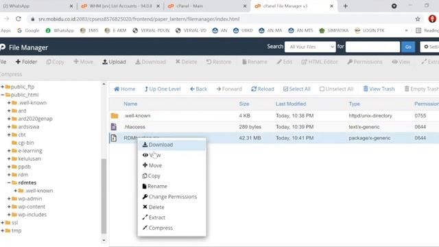 TUTORIAL MENGHOSTINGKAN RAPOR DIGITAL MADRASAH (RDM) смотреть онлайн