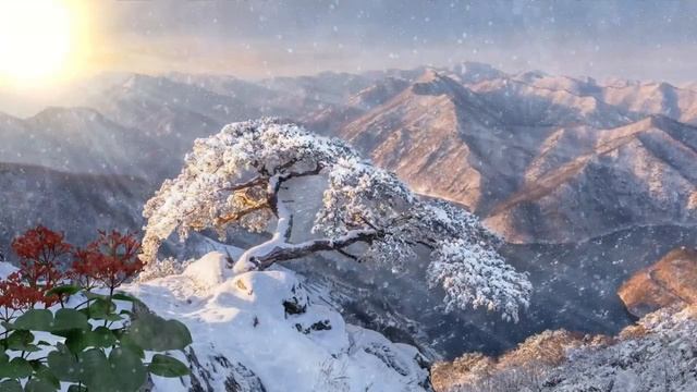 Звуки метели и вьюги. смотреть онлайн