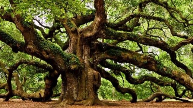 Русская сказка про Кащея Бессмертного полностью расшифрована