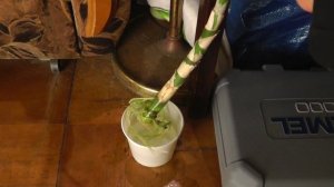 Диффенбахия: обрезка и укоренение. Мой опыт