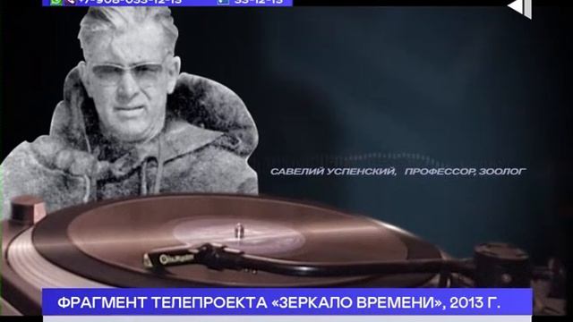 Овцебыководство на Таймыре смотреть онлайн