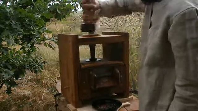 Жива_дуб 05 смотреть онлайн