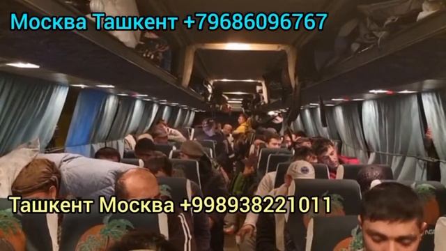 Питер Ташкент Таджикистан автобус Санкт-Петербурге Москва Казахстан Узбекистан Таджикистан автобус смотреть онлайн