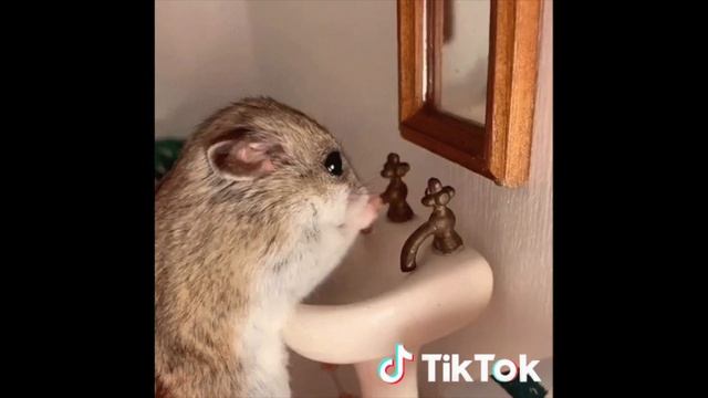 МОЙ РУКИ, ИНАЧЕ... / ЧИТАЙКИНА 