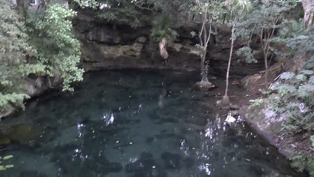 Территория отеля Sandos Caracol Eco Resort, Мексика смотреть онлайн