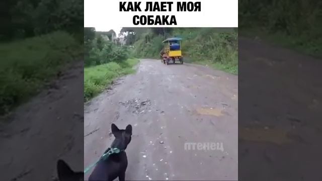 галя ребятам на фронт я там уже был и знаю каково это 2202 2003 4591 2586 сбер смотреть онлайн