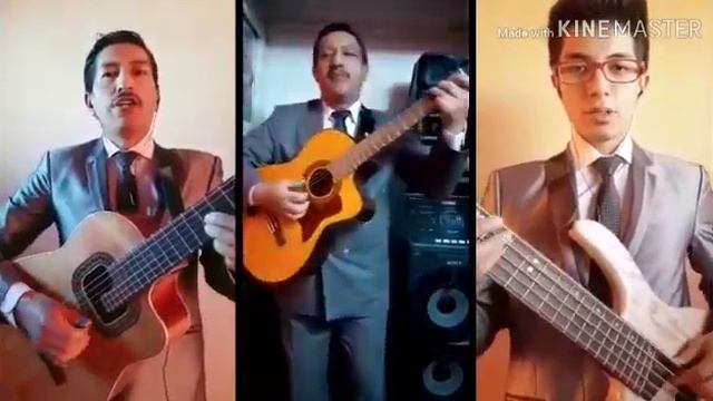 Por algo me han de recordar ( Pasacalle) - Trío Villamarín смотреть онлайн