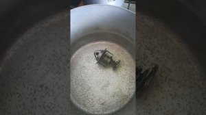 #Термостат Чери Тигго (видео №2)