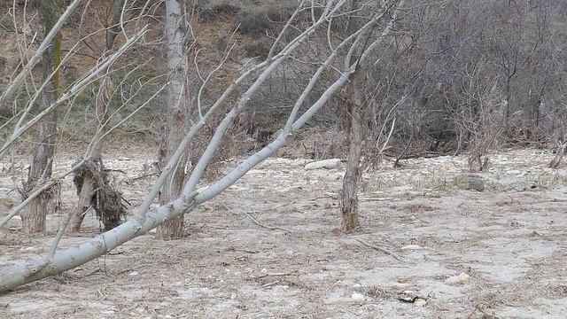 Берег Азовского моря, март 2024 смотреть онлайн