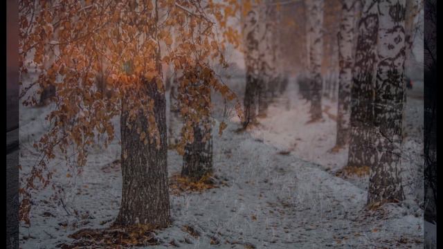 ❄️❄️❄️🌨️🌨️🌨️Ноябрьское настроение и кавер версия на замечательную песню Ларисы Мондрус🌨️🌨️🌨️❄️❄️❄️ смотреть онлайн