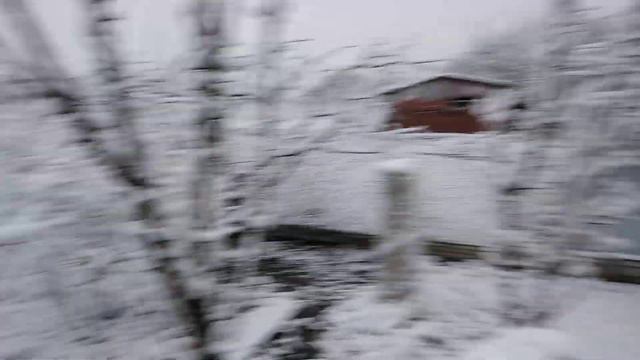 Голубика и жимолость в снегу смотреть онлайн