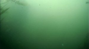 Язь 52 компакт 9 тест камеры и рыбалка на вечерней зорьке.