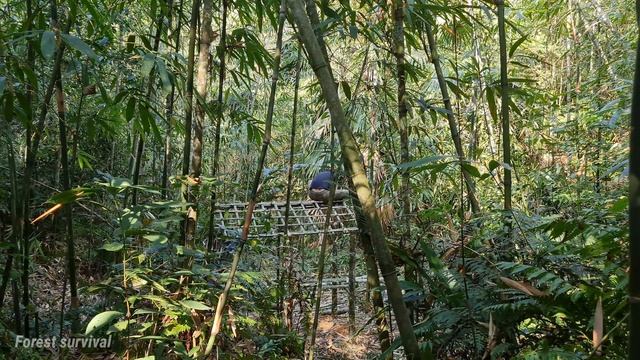 How To Make A Simple Bamboo House To Shade The Sun & Rain, Great Idea From Bamboo - Ep.1