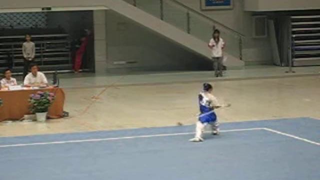 Liu Xia (Hebei) - Qiangshu 30 [2006 China Women's Wushu National Qualifiers] смотреть онлайн