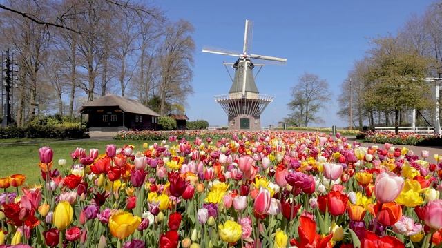 See You In 2022! | Keukenhof 2021?