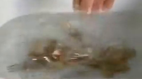 Пластина Алхимик - www.Kot-Amway.ru