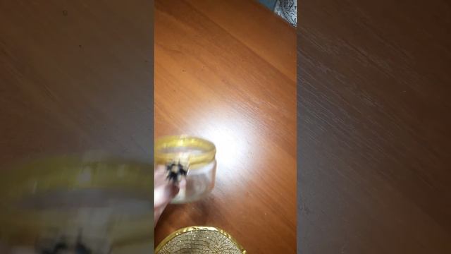 Новогодний подарок своими руками. Подсвечник из доступных материалов. смотреть онлайн