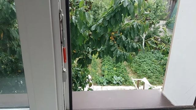 Обзор 7 июля 2017 года/Видео № 146 смотреть онлайн