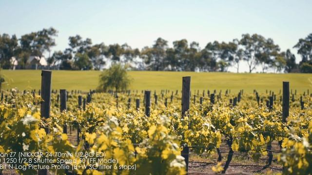 Nikon Z7 4K 10Bit N-Log Video Test (Tested on Atomos Shogun) смотреть онлайн