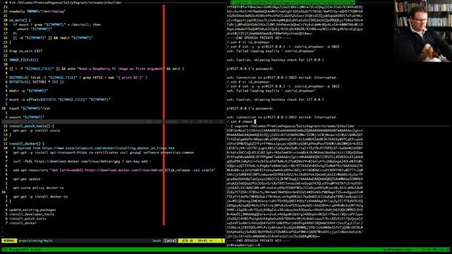 Setting up emulated Raspberry Pi for CI pipeline (part 3) смотреть онлайн