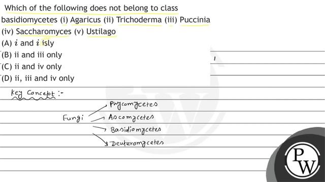 Which of the following does not belong to class basidiomycetes (i) Agaricus (ii) Trichoderma (ii... смотреть онлайн