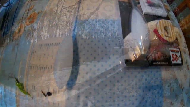 Сюрстрёмминг и покатушки по магазинам. смотреть онлайн