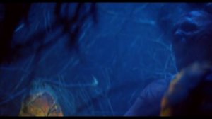 System of a down  -  Spiders