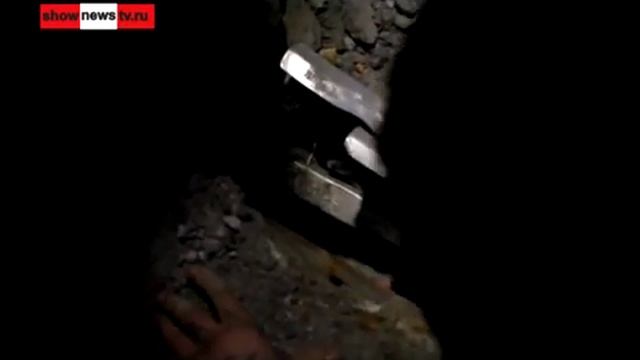 Замурованная в бетон кошка, спасение смотреть онлайн