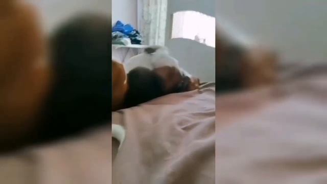 Зову в свою профессию «КИНОЛОГ» смотреть онлайн