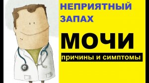 Неприятный запах мочи – причины и симптомы