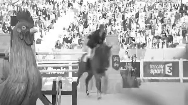 Клип про лошадей. смотреть онлайн