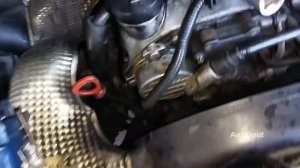 Мерседес спринтер плохо или не заводится на холодную  904 2006 2.2d OM611