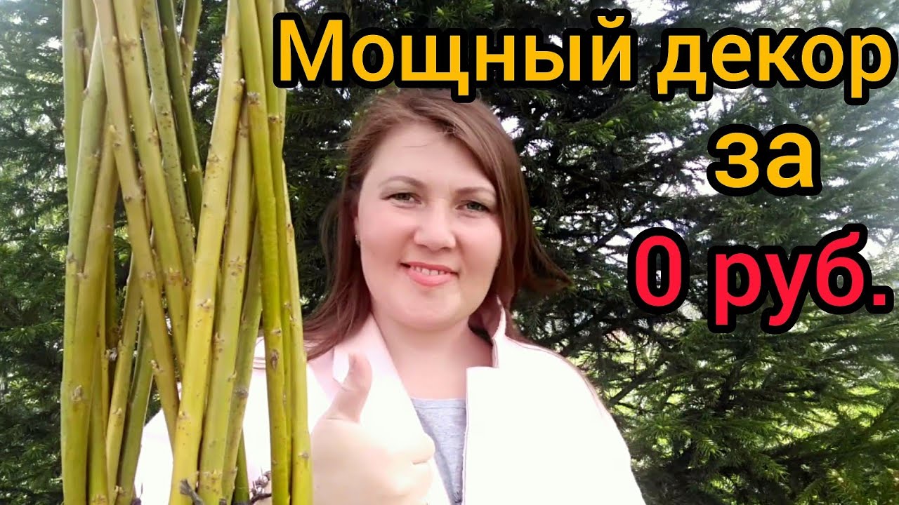 Плетеное дерево своими руками / Пальма из ивы / Сибирская пальма смотреть онлайн