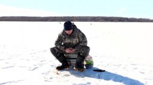 Особенности ловли леща зимой