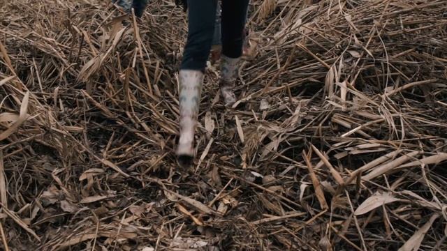 Максим ГустаревМК смотреть онлайн