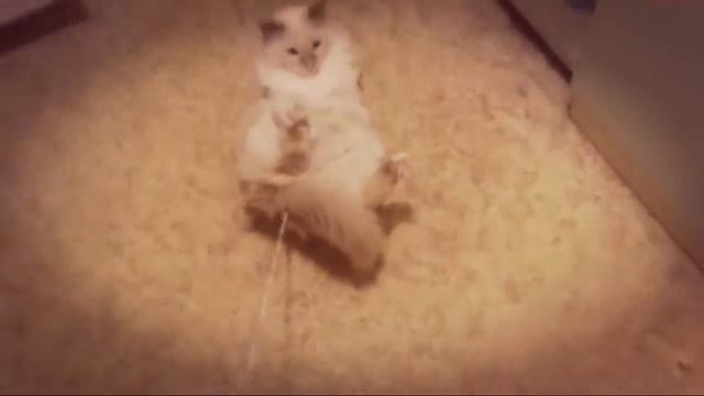 Едем на дискотеку! смотреть онлайн