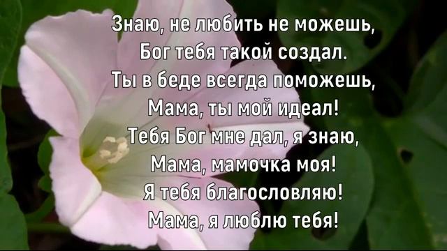 Мне мой сыночек Нариман отправил эту песню❤❤❤❤❤❤❤ смотреть онлайн