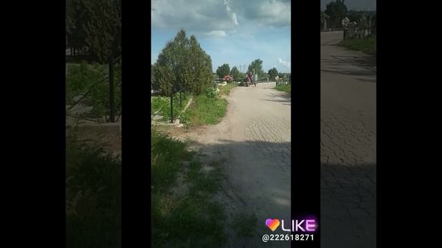 Нормально так зашёл на Муравье. Мотороллер муравей. смотреть онлайн