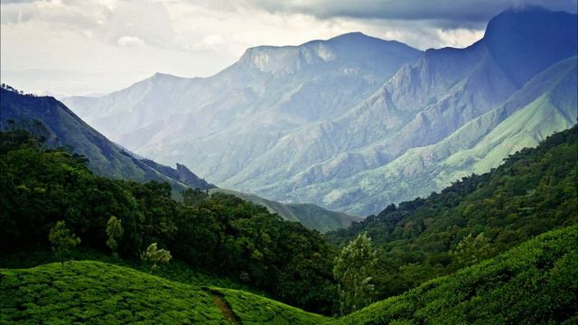 - Как ты не понимаешь, я просто обязана помочь сестре, и она будет здесь жить. Истории из жизни смотреть онлайн