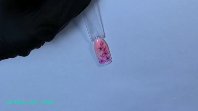 Роспись на ногтях акварелью Сакура и тюльпан #акварельнаяросписьнаногтях смотреть онлайн