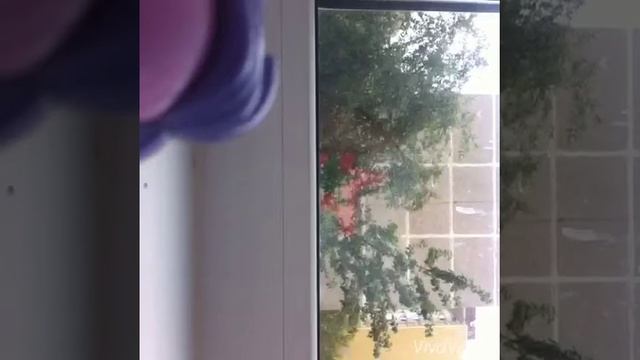 Как отмыть ручку от петшопа смотреть онлайн
