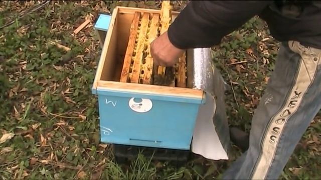 Усиление слабых отводков в зиму смотреть онлайн