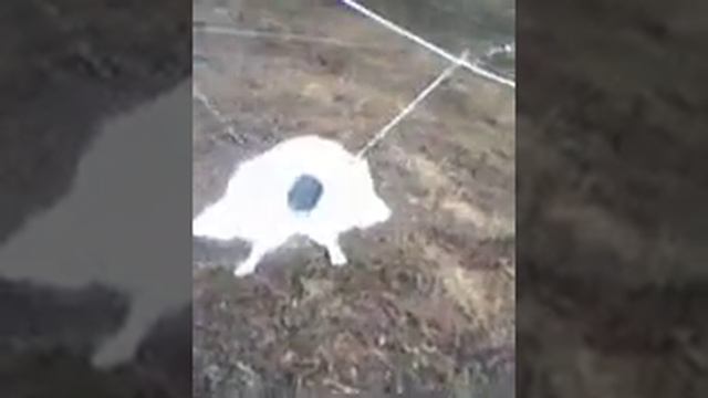 бегущий кабан мишенная установка смотреть онлайн