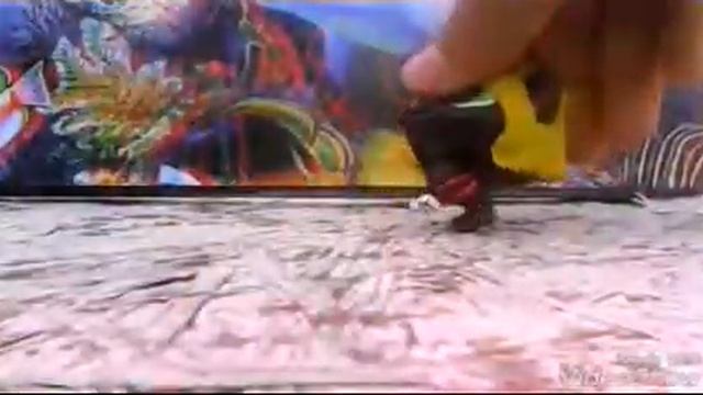 LPS music video. Я хочу нет я хочу туфли джимичу и айфон хочу. смотреть онлайн