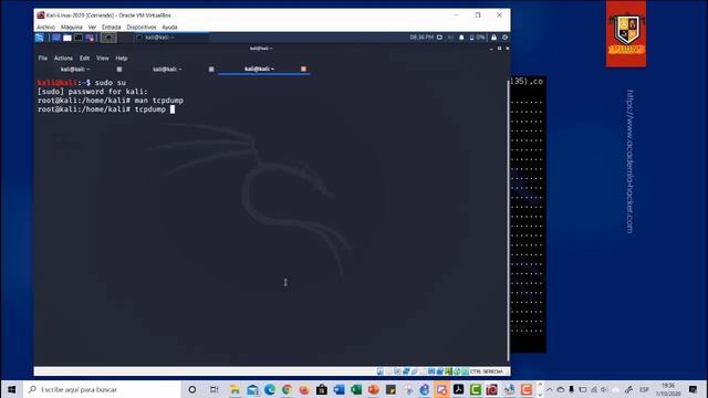 Creando Paquetes Personalizados con SCAPY смотреть онлайн