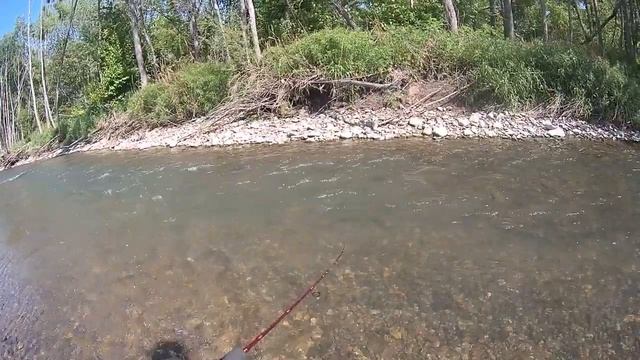 май 2021.Рыбалка в приморском крае. Пеструшка. спиннинг на "домашней речке" смотреть онлайн