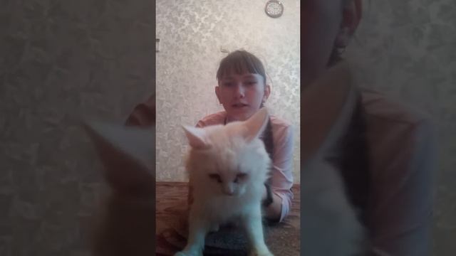 О чем же я буду снимать видео??? смотреть онлайн