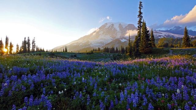 Расслабляющие красивые мелодии перед сном . Relaxing Beautiful Bedtime Melodies