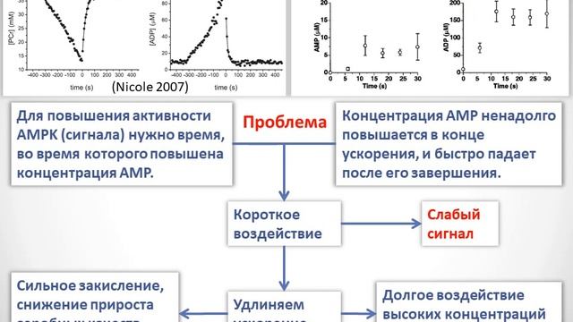 Вертышев 2019, Тема 1, Виды тренировочных средств смотреть онлайн