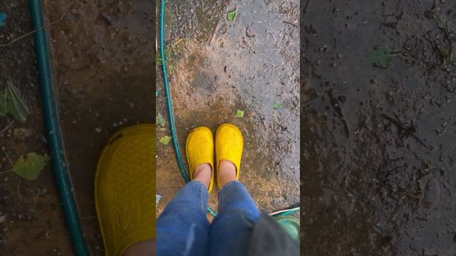 Погода за окном... смотреть онлайн
